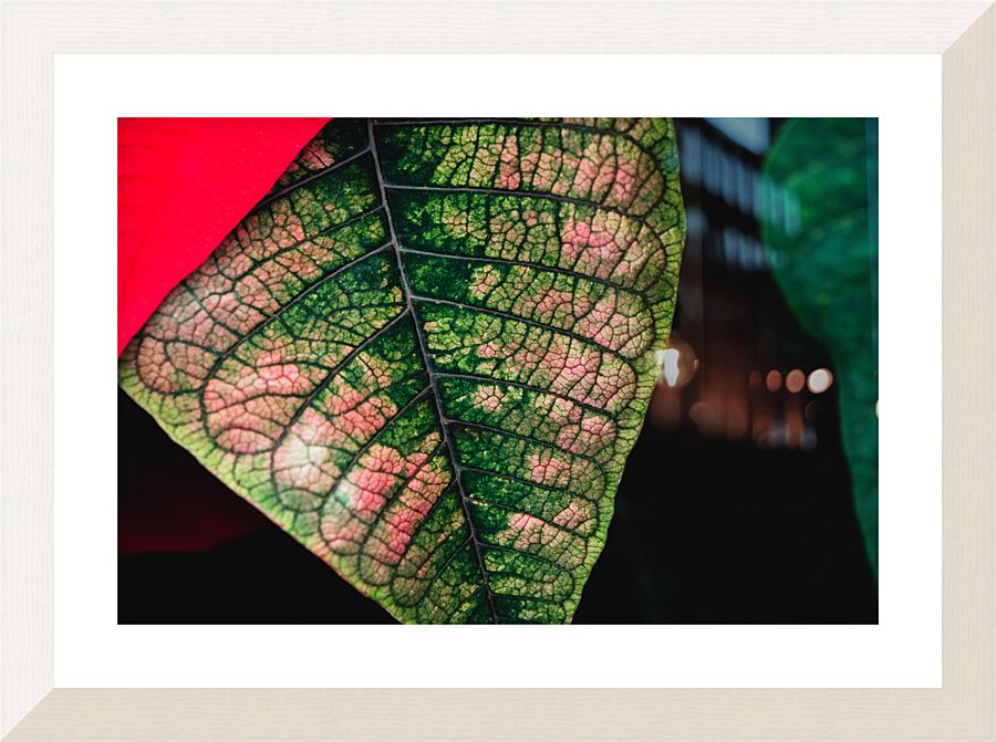 Leaf Quilting Picture Frame print