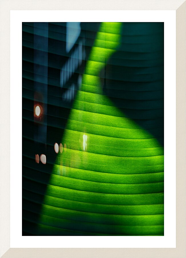 Fading Picture Frame print