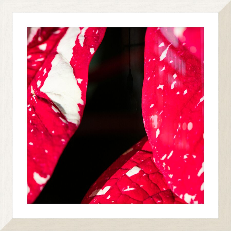 Flesh Picture Frame print