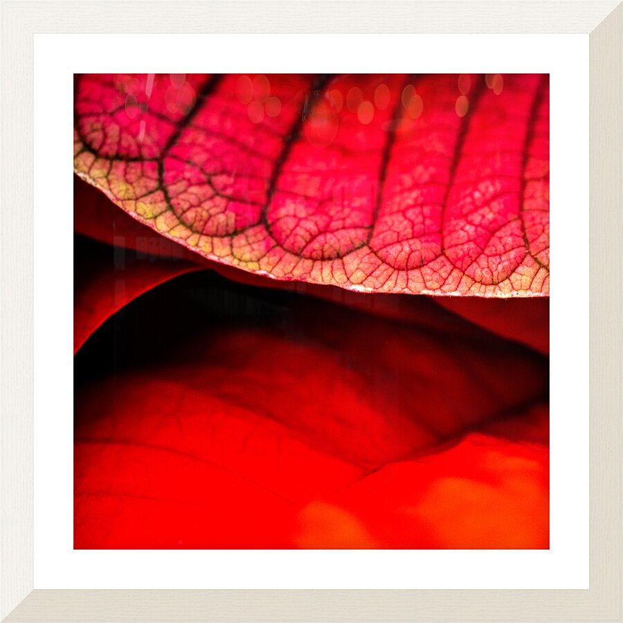 Kimono Petals Picture Frame print