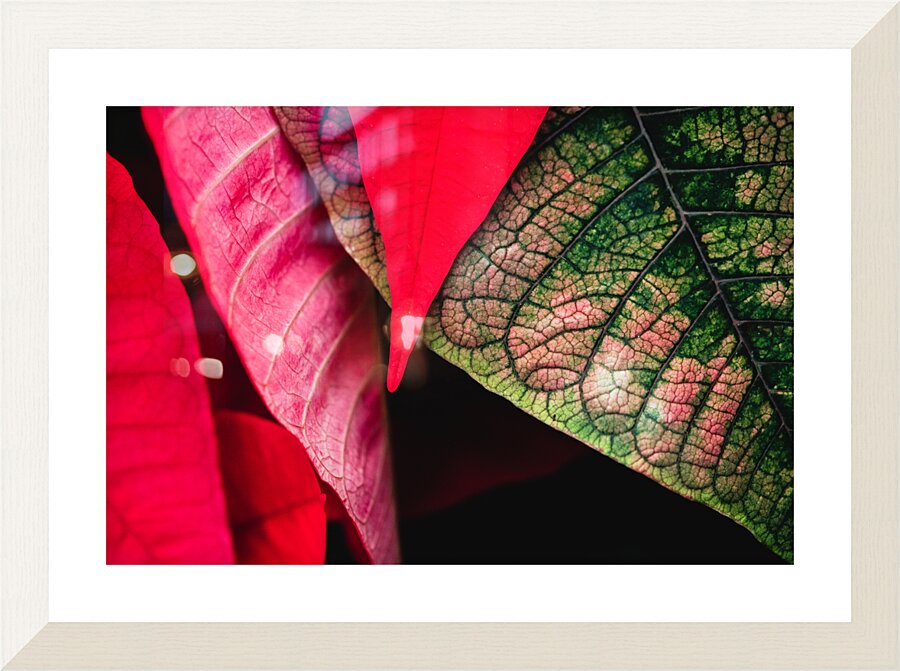 Leaves Picture Frame print