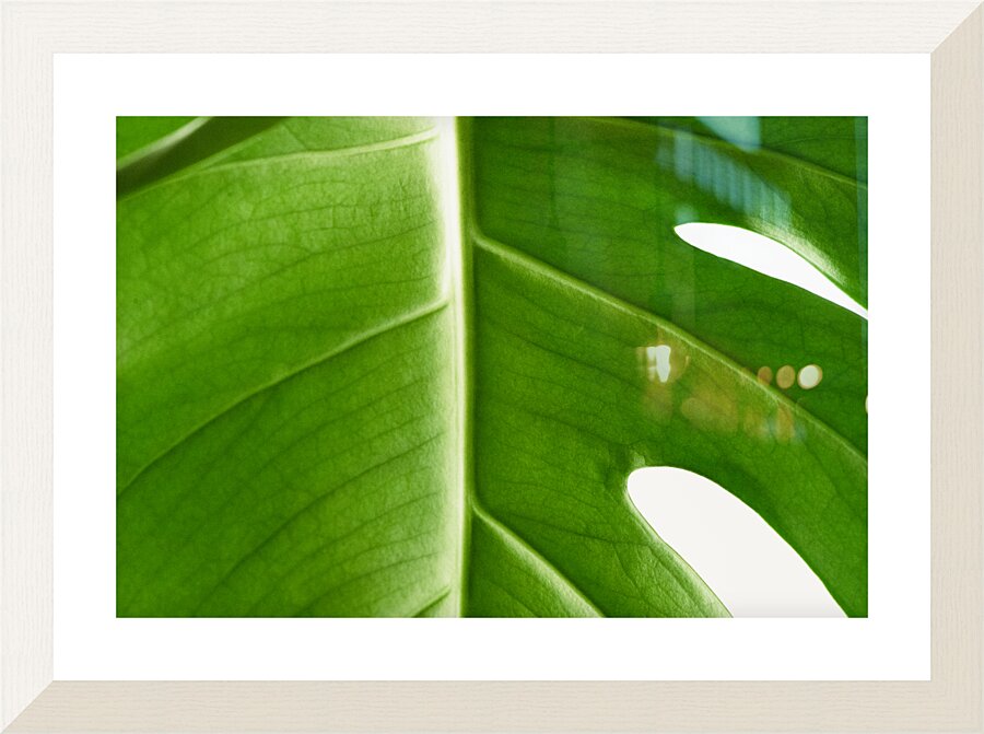 Unequal Picture Frame print
