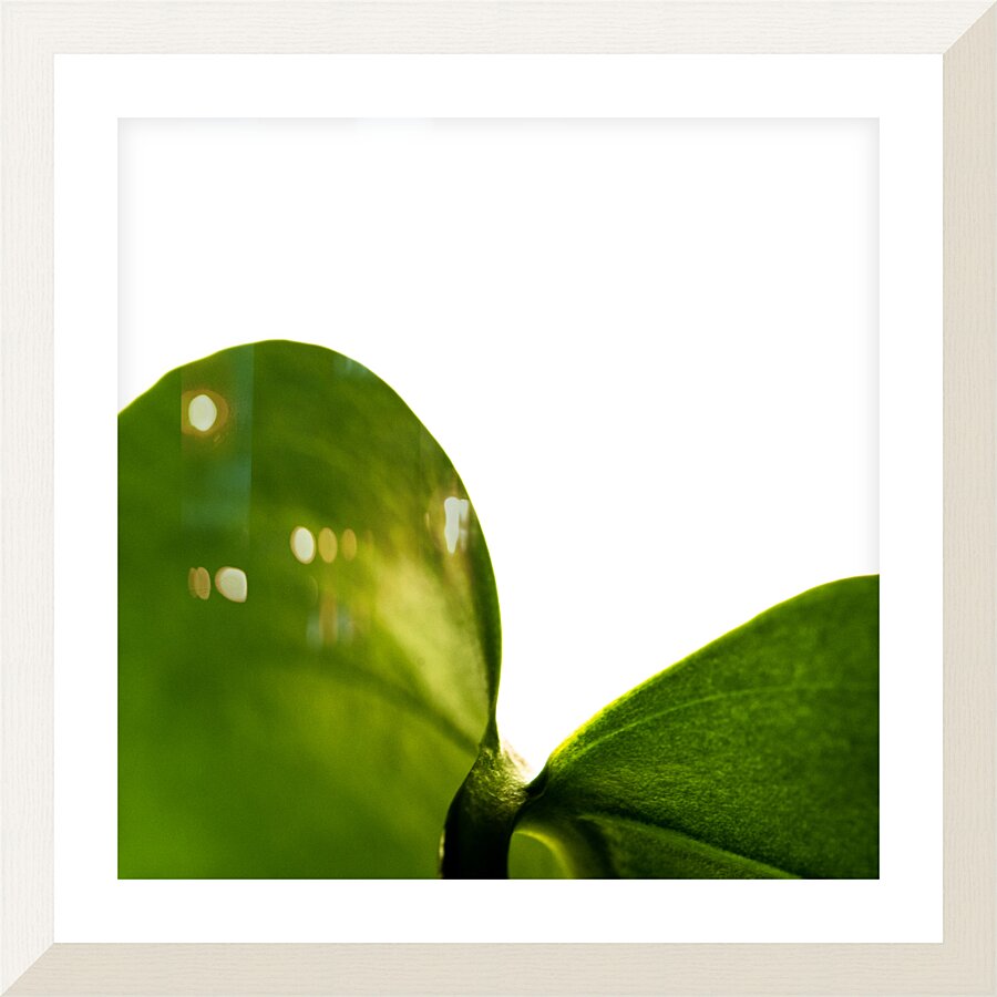 Revelation Picture Frame print