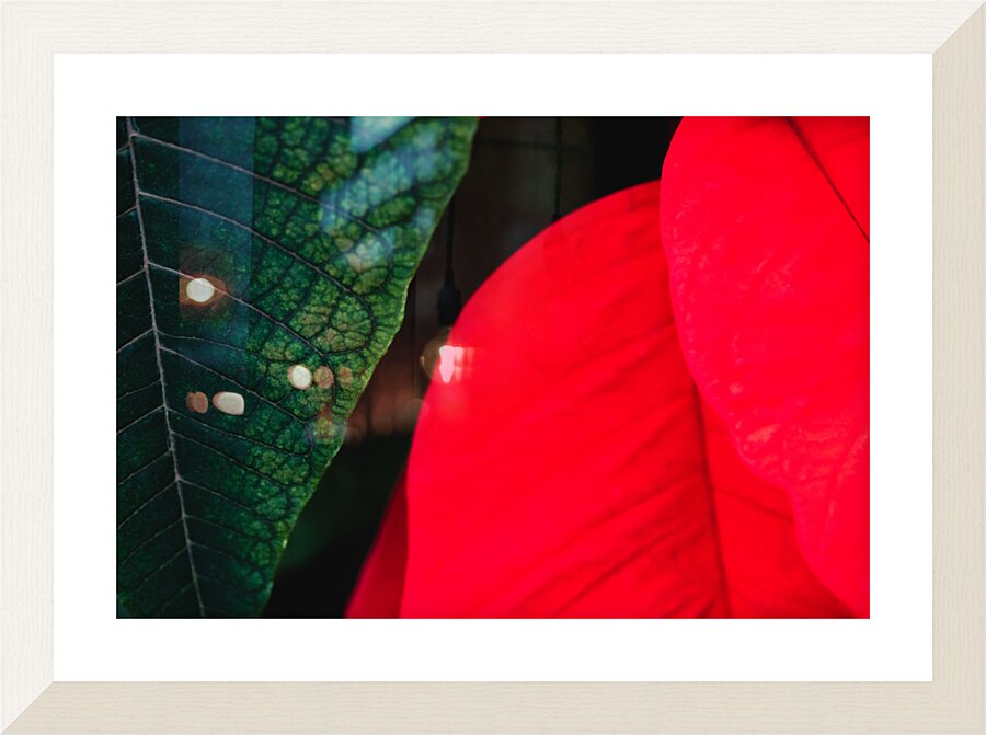 Red and Green Picture Frame print