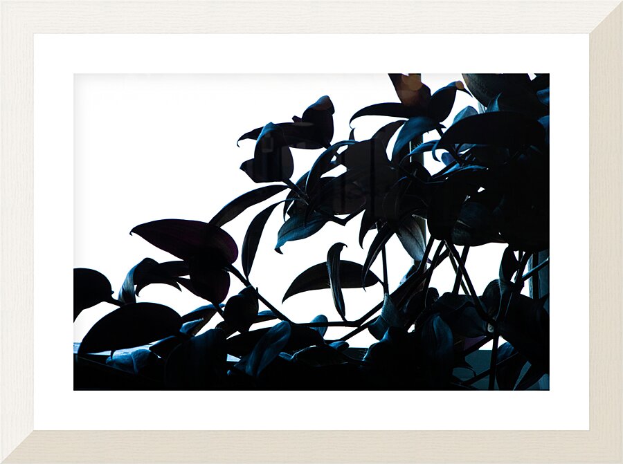 Breaking Through Picture Frame print
