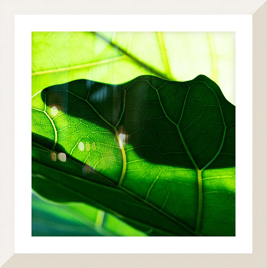 Journey Picture Frame print