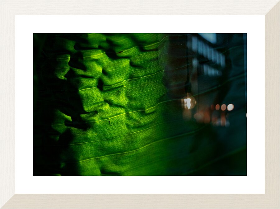 Beneath Picture Frame print