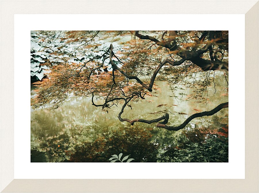 Zen Gardens Reflections Picture Frame print
