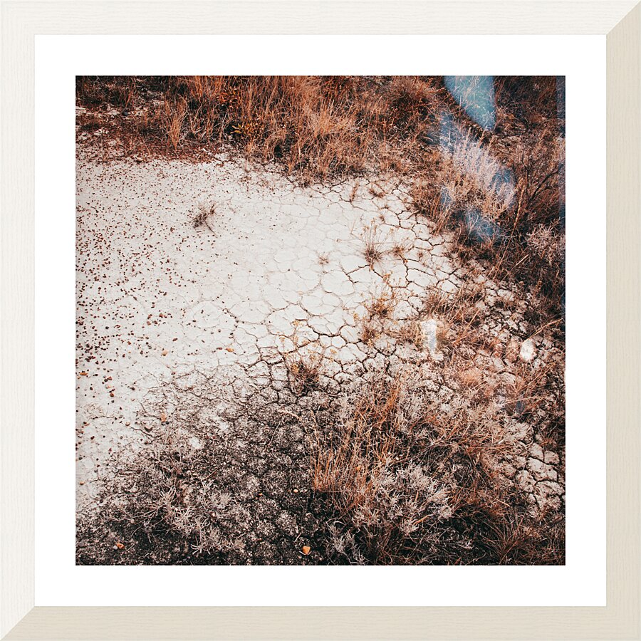 Desert Land Picture Frame print