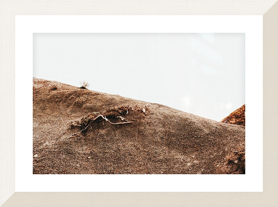 Desert Picture Frame print