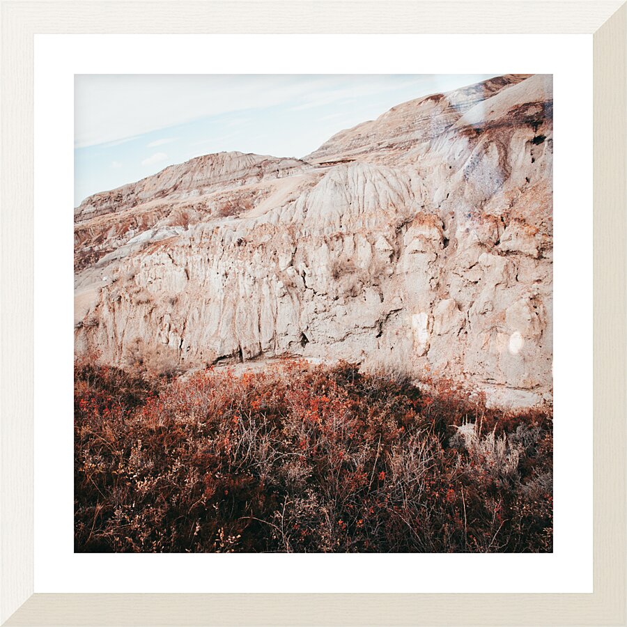 Drumheller Shrubs Picture Frame print