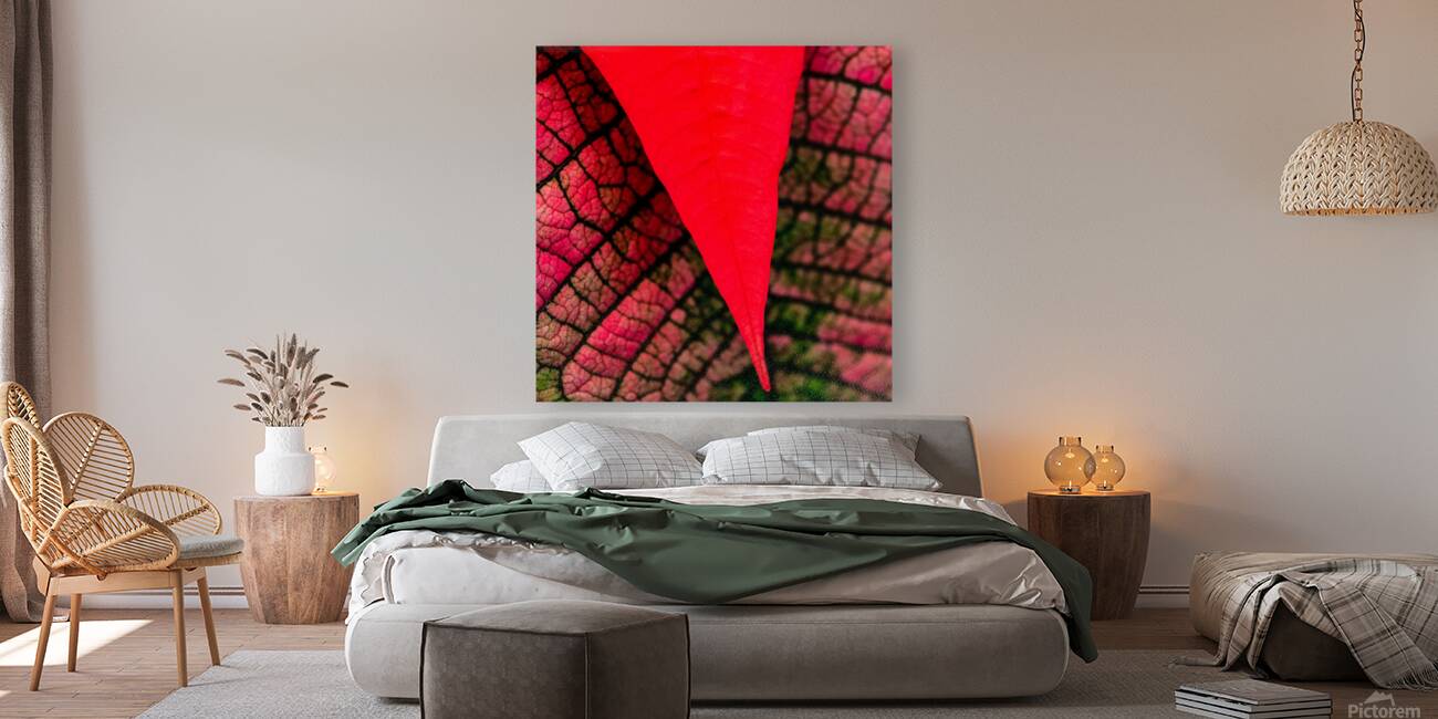 Red Reproduction