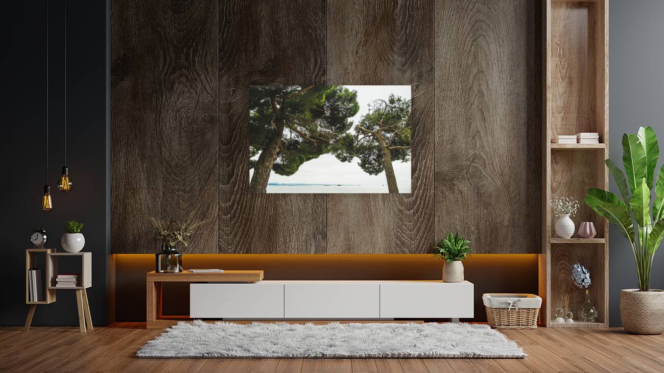 Trees Reproduction