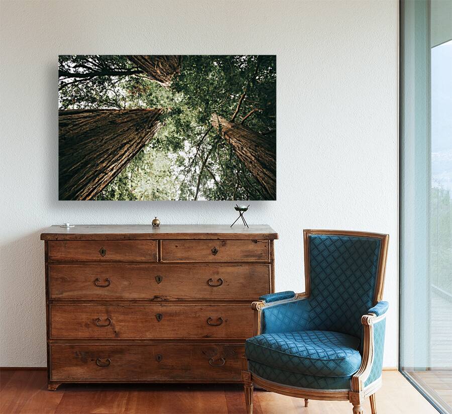 Ancient Trees Reproduction