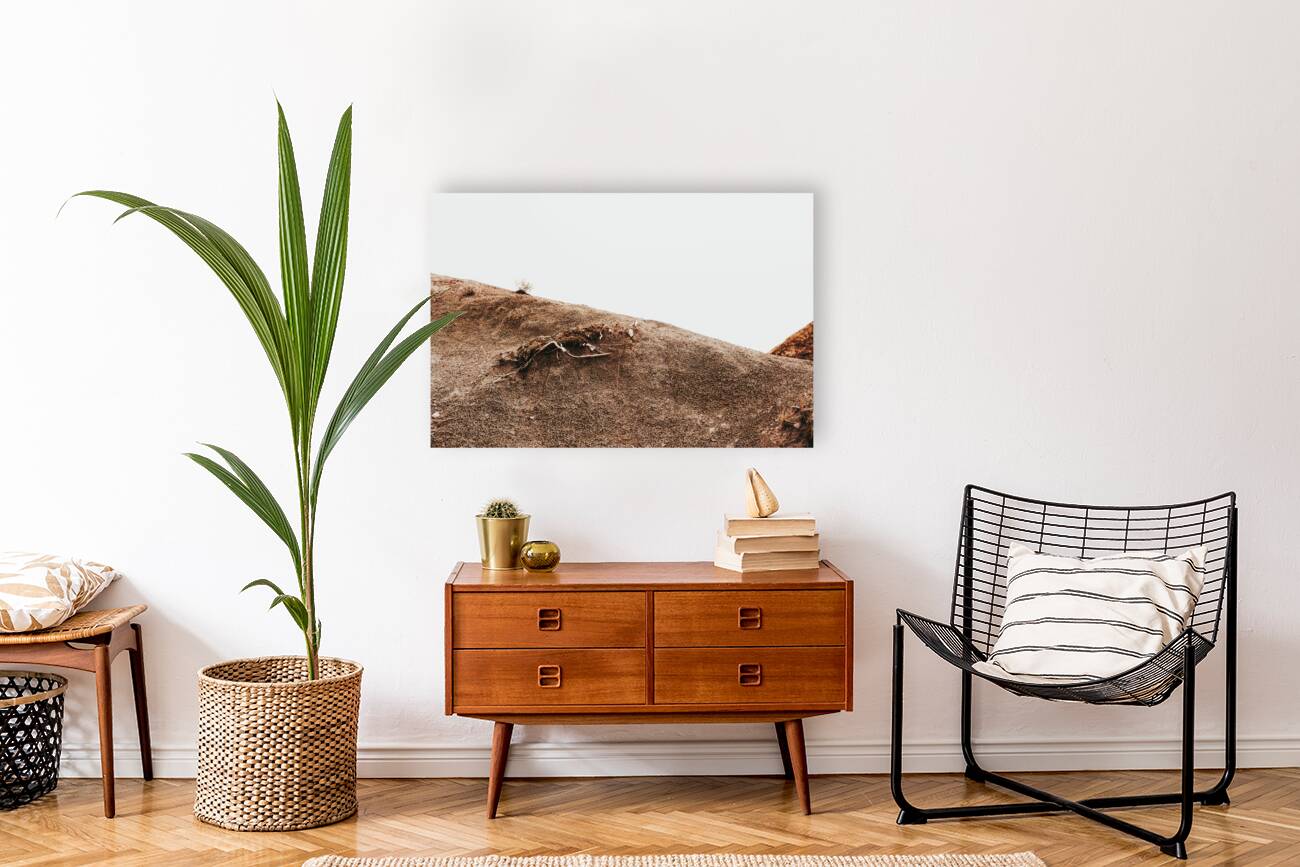 Desert Reproduction