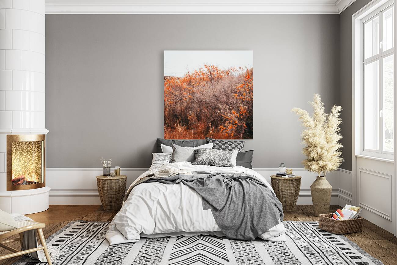 Orange Shrubs Reproduction