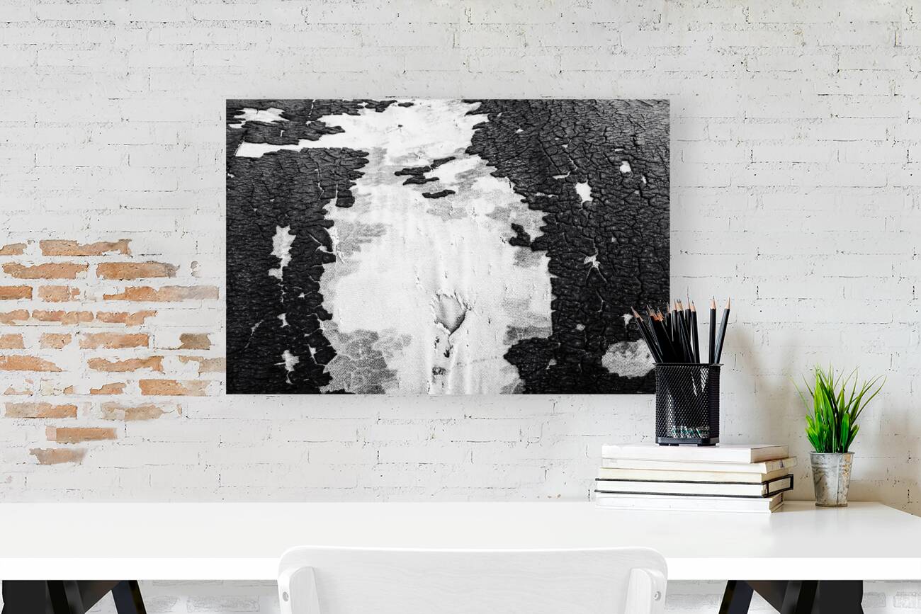 Tattered Canvas Reproduction