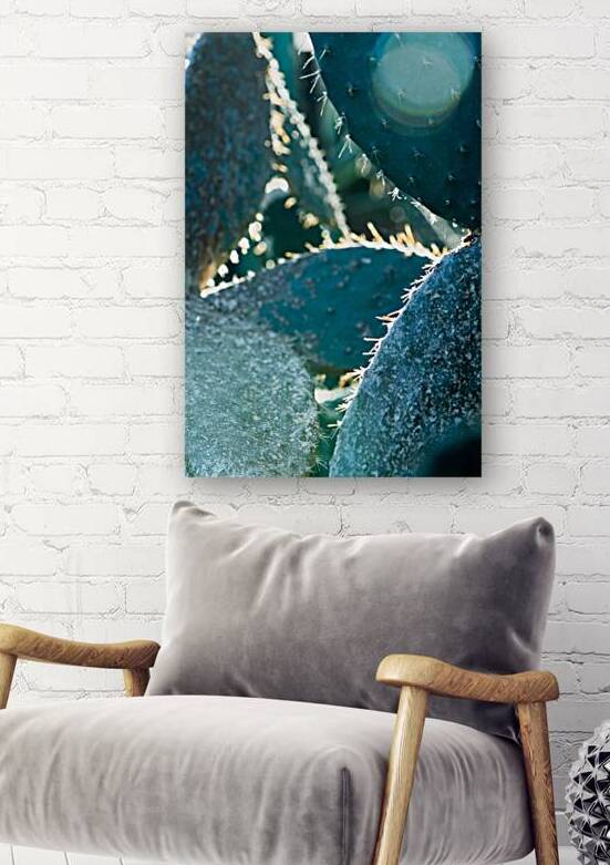 Diamond by Art and Photography by Diana