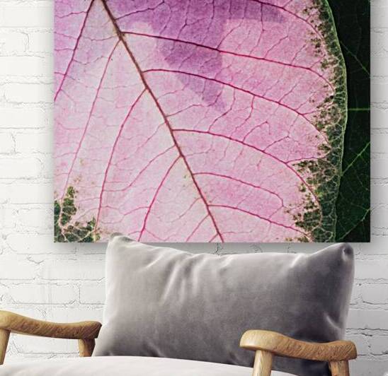 Light Pink Leaves by Art and Photography by Diana