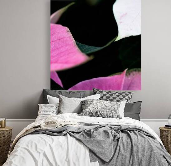 Poinsettia Blooms by Art and Photography by Diana
