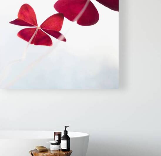 Shamrock Kites by Art and Photography by Diana