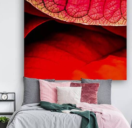 Kimono Petals by Art and Photography by Diana