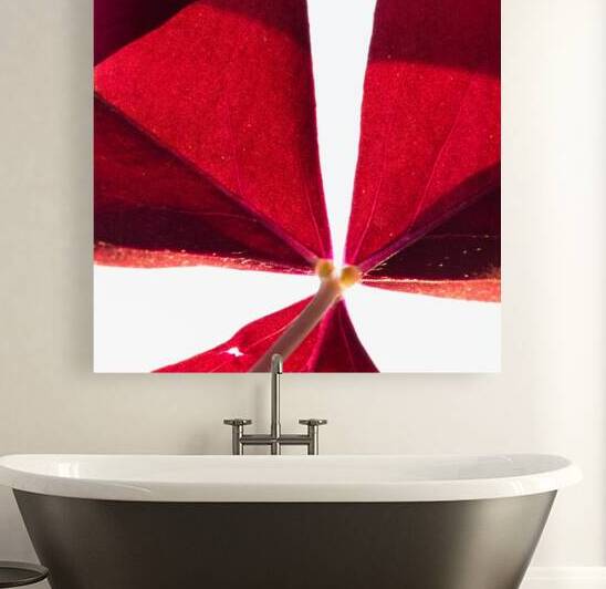 Leaf Tapestry by Art and Photography by Diana