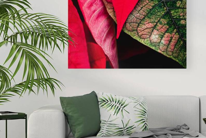Leaves by Art and Photography by Diana