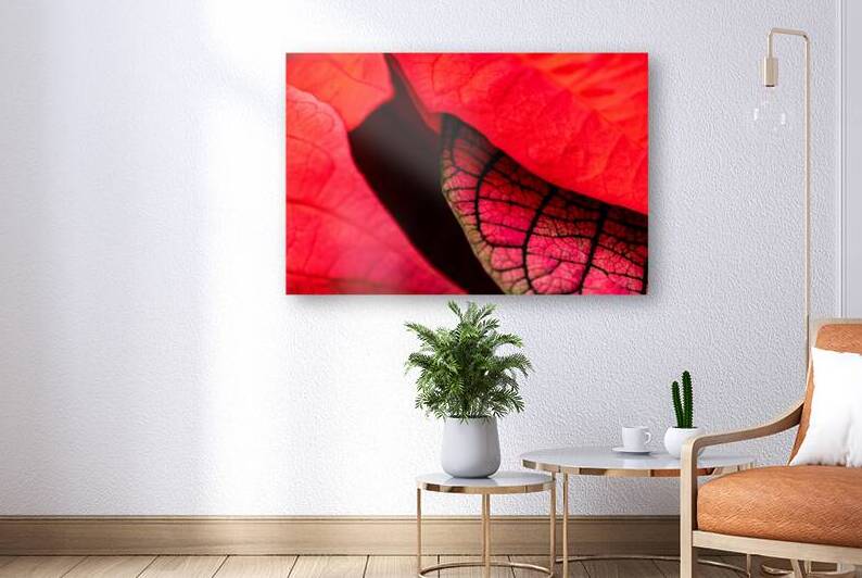 Metamorphosis by Art and Photography by Diana
