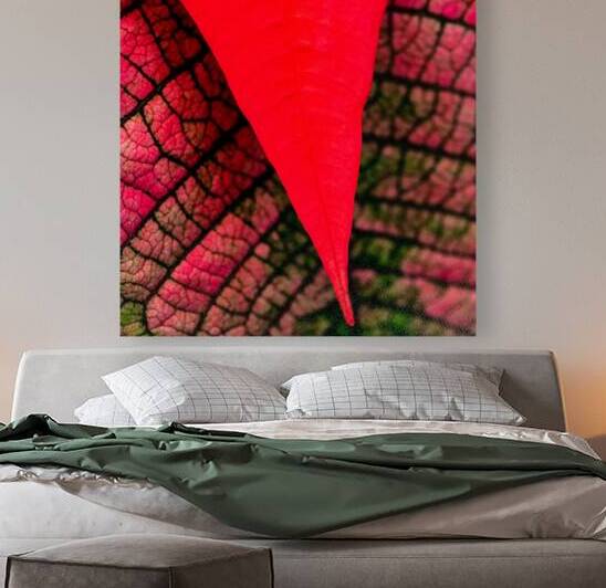 Red by Art and Photography by Diana