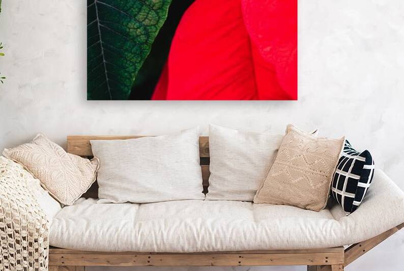 Red and Green by Art and Photography by Diana
