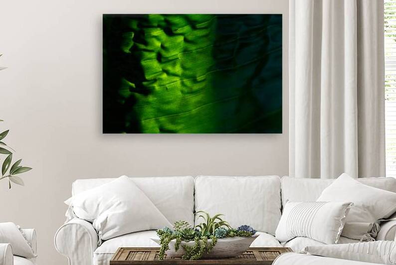 Beneath by Art and Photography by Diana