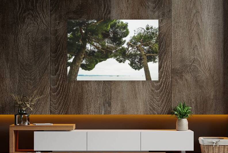 Trees Reproduction