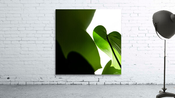 Femininity Wall Preview