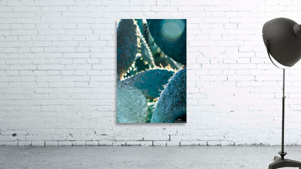 Diamond Wall Preview