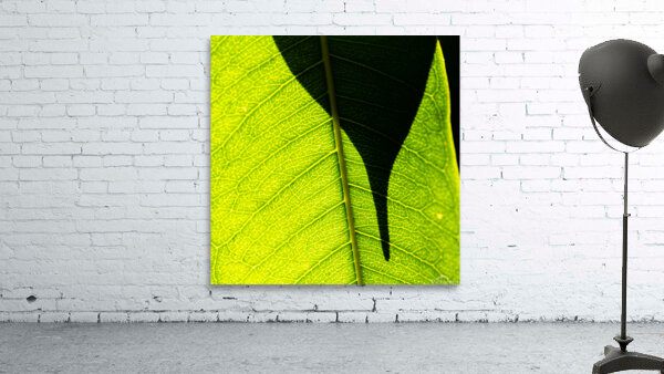 Blending Wall Preview