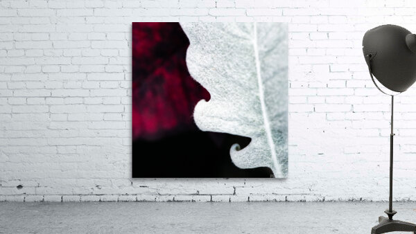 Smoke Wall Preview
