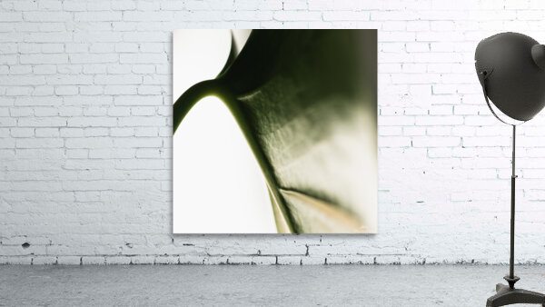 Wings Wall Preview