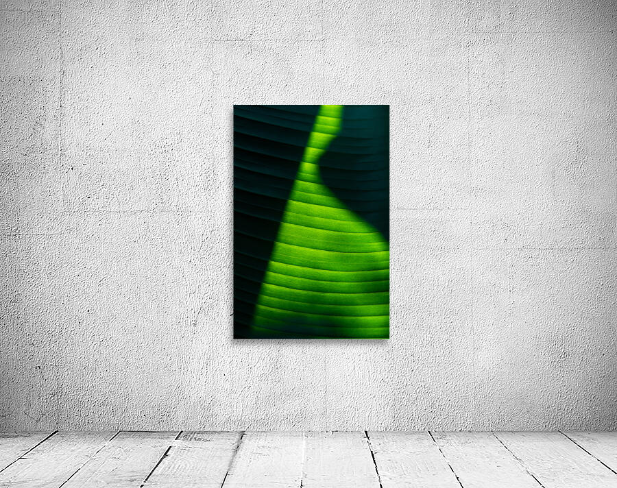 Fading Wall Preview