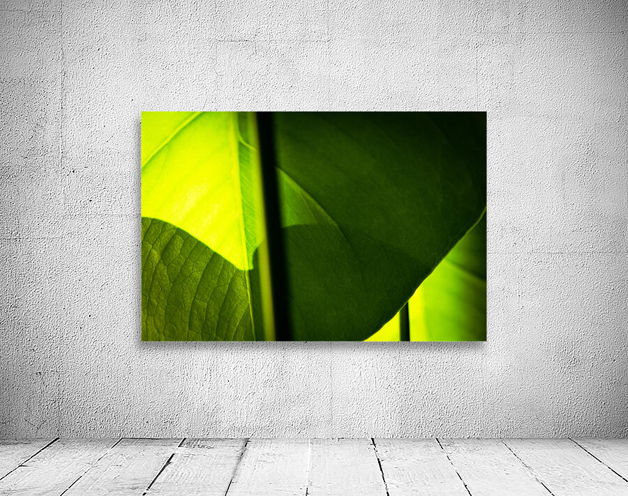 Light and Shadow Wall Preview