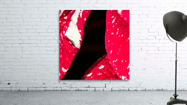 Flesh Wall Preview