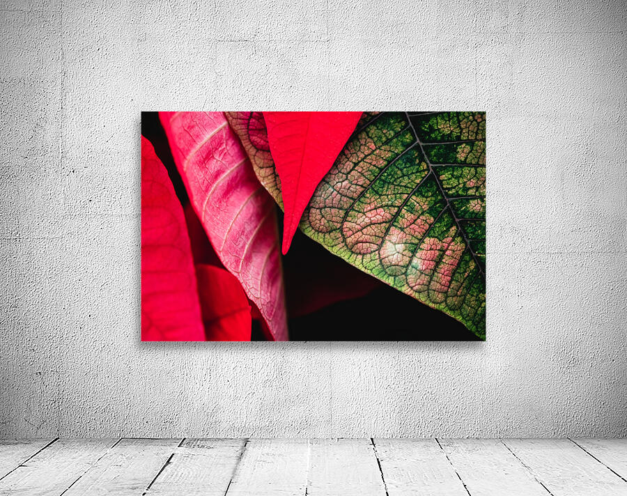 Leaves Wall Preview