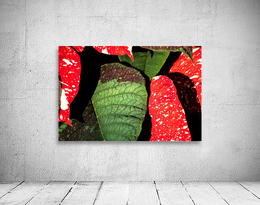 Amorphous Wall Preview