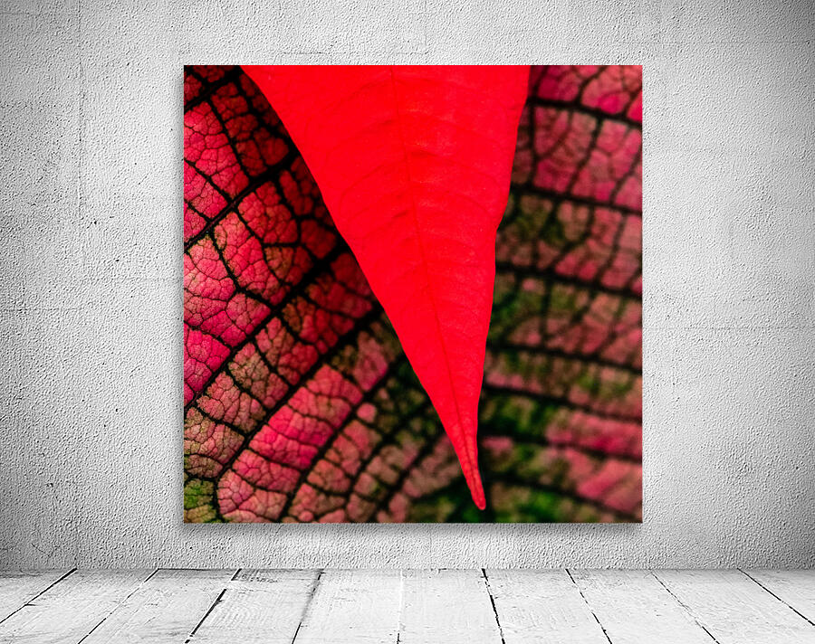 Red Wall Preview