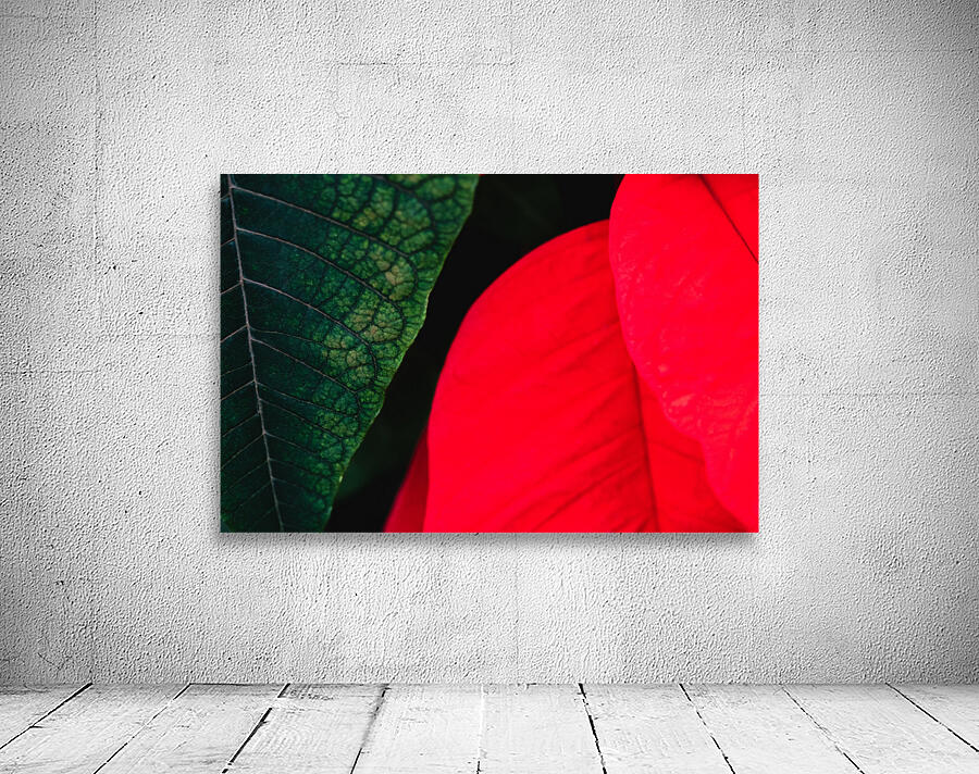 Red and Green Wall Preview