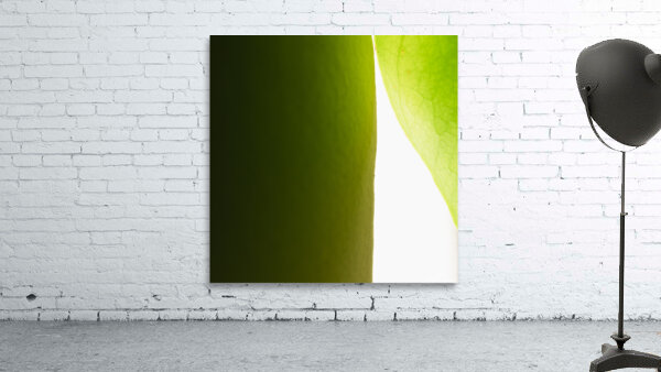 Peeking Through Wall Preview