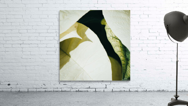 Layers Wall Preview