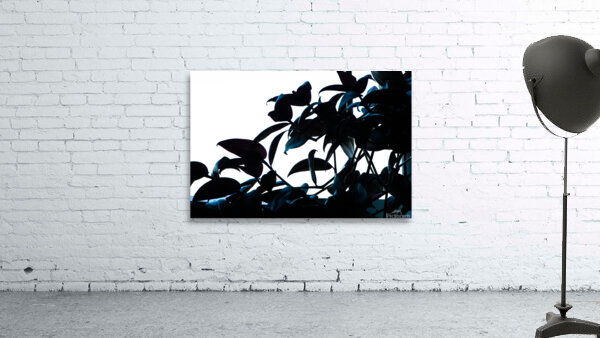 Breaking Through Wall Preview