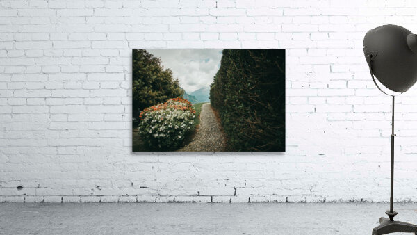 Path Through Garden Wall Preview