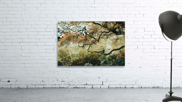 Zen Gardens Reflections Wall Preview